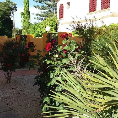 Feriehus Asmara *